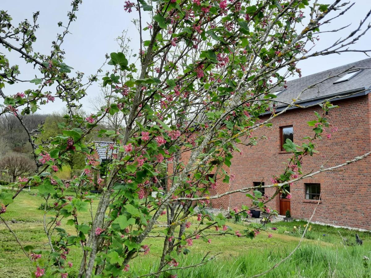Aux Saveurs D'Enneille Bed & Breakfast Дюрби Екстериор снимка